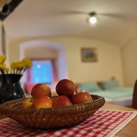 Guest house Stansky Mlyn